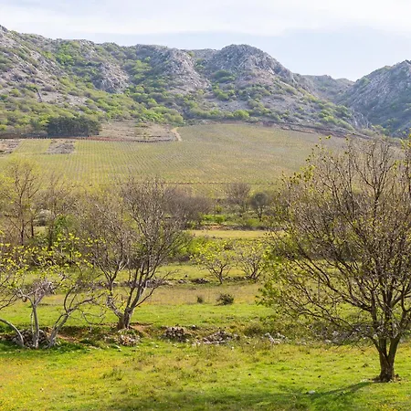 Ena & Leona Apartment *